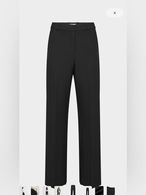Aritzia Babaton Agency pants